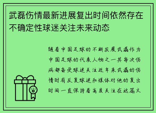 武磊伤情最新进展复出时间依然存在不确定性球迷关注未来动态 武磊伤情最新进展复出时间依然存在不确定性球迷关注未来动态